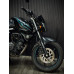 FZ 150 2019