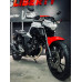 FZ 250 2023